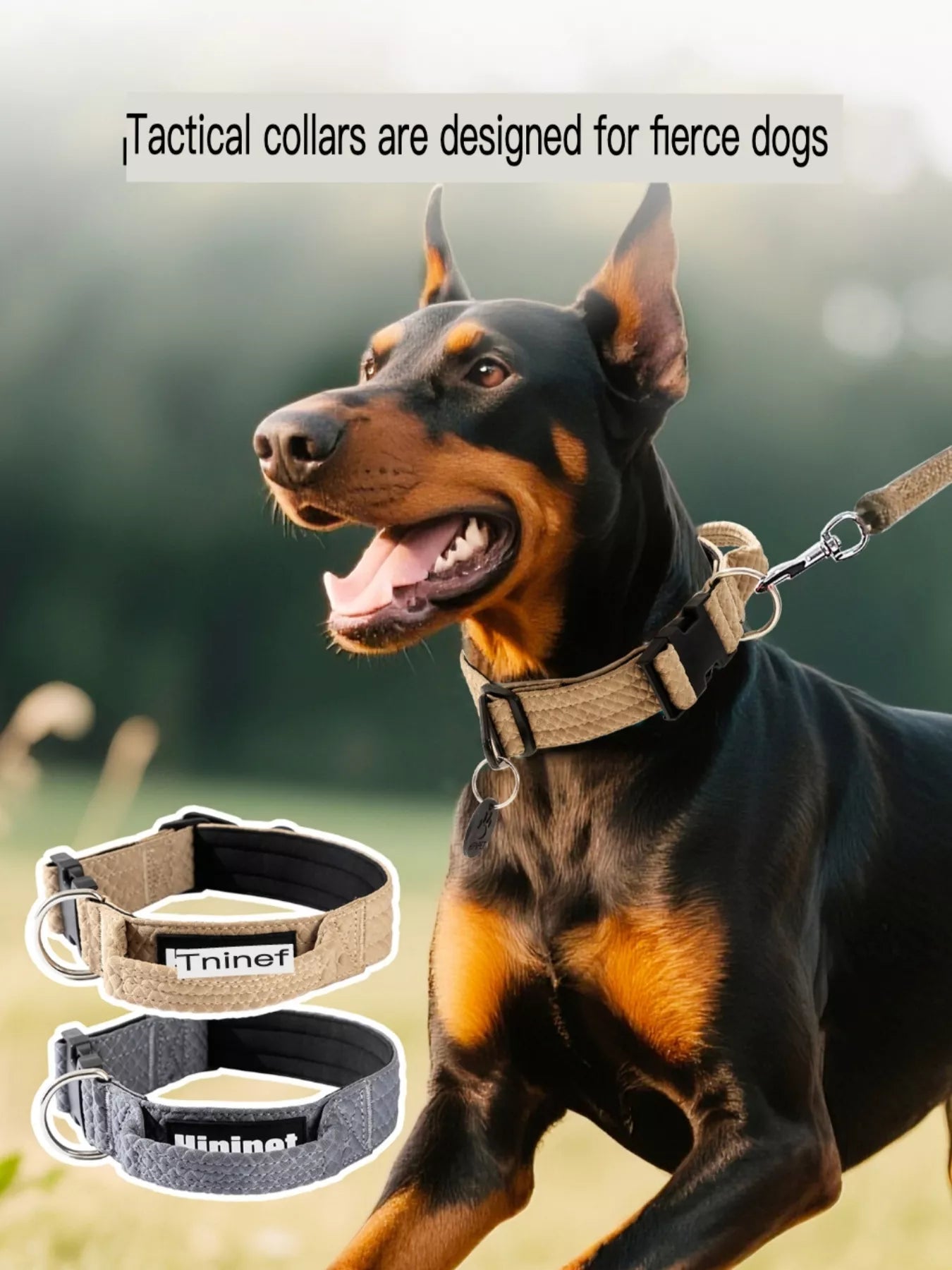 Comfortable Neck Guard Explosion-Proof Pet Collar