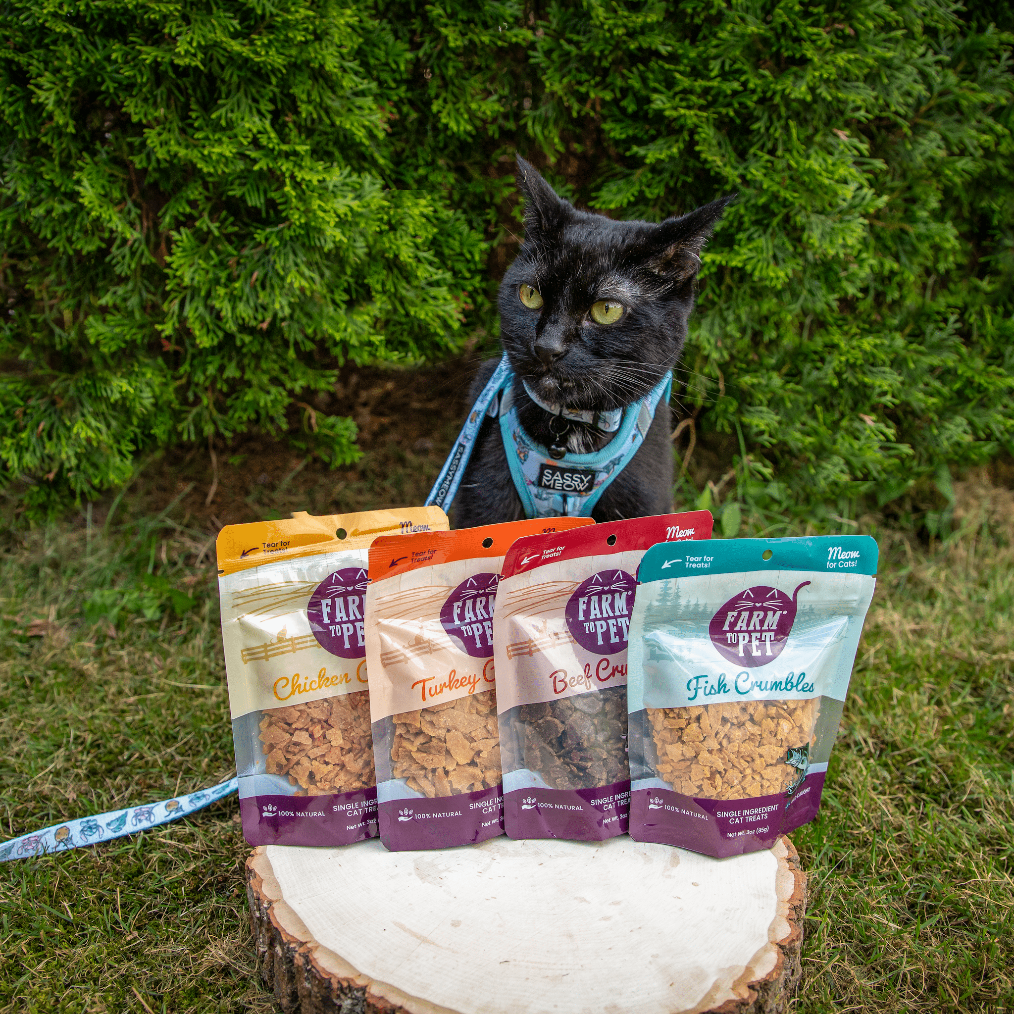 Fish Crumbles for Cats | All-Natural Fish Cat Treats