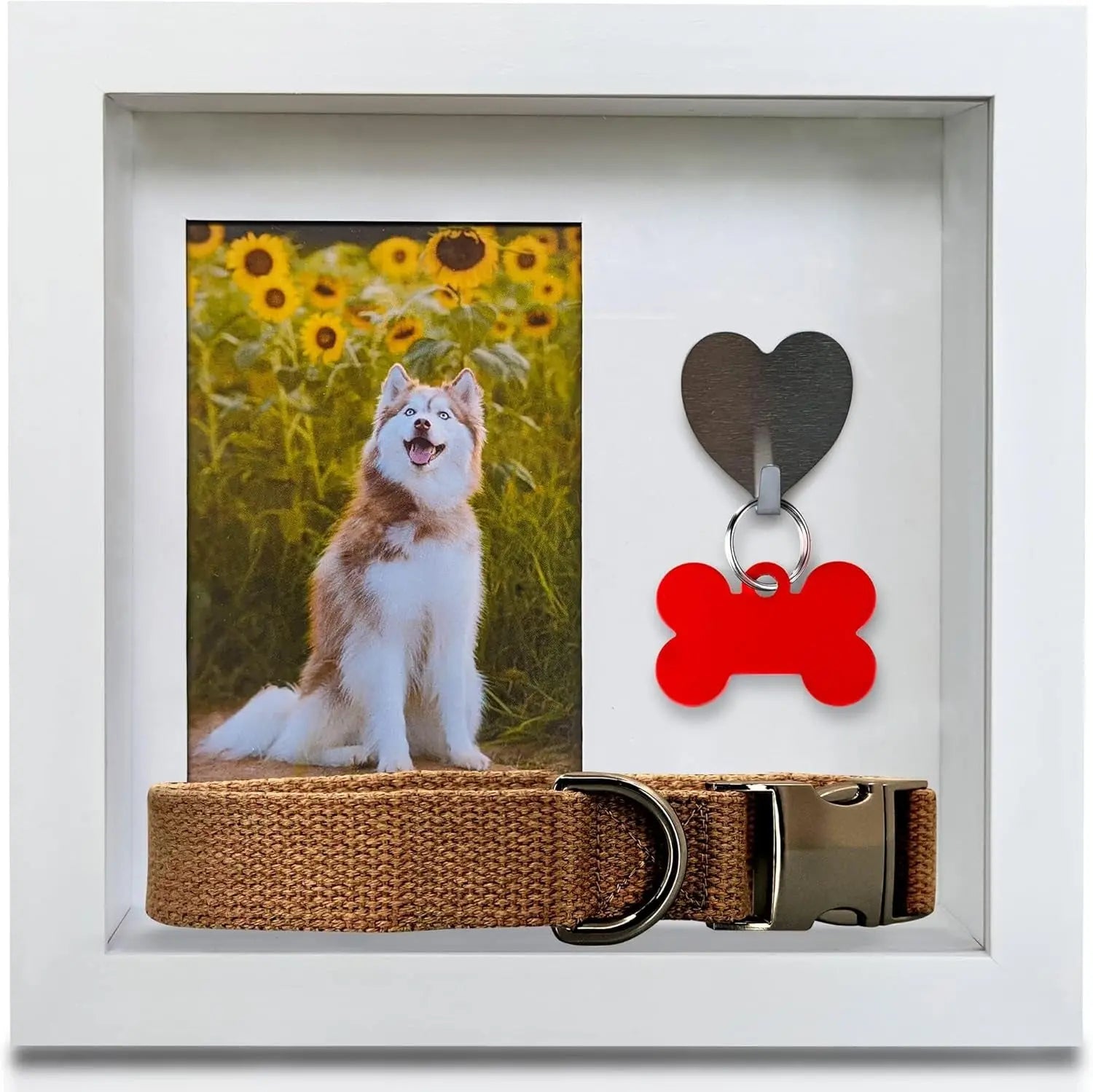 Green Pollywog Pet Memorial Shadowbox | Collar, Tag & Photo Keepsake