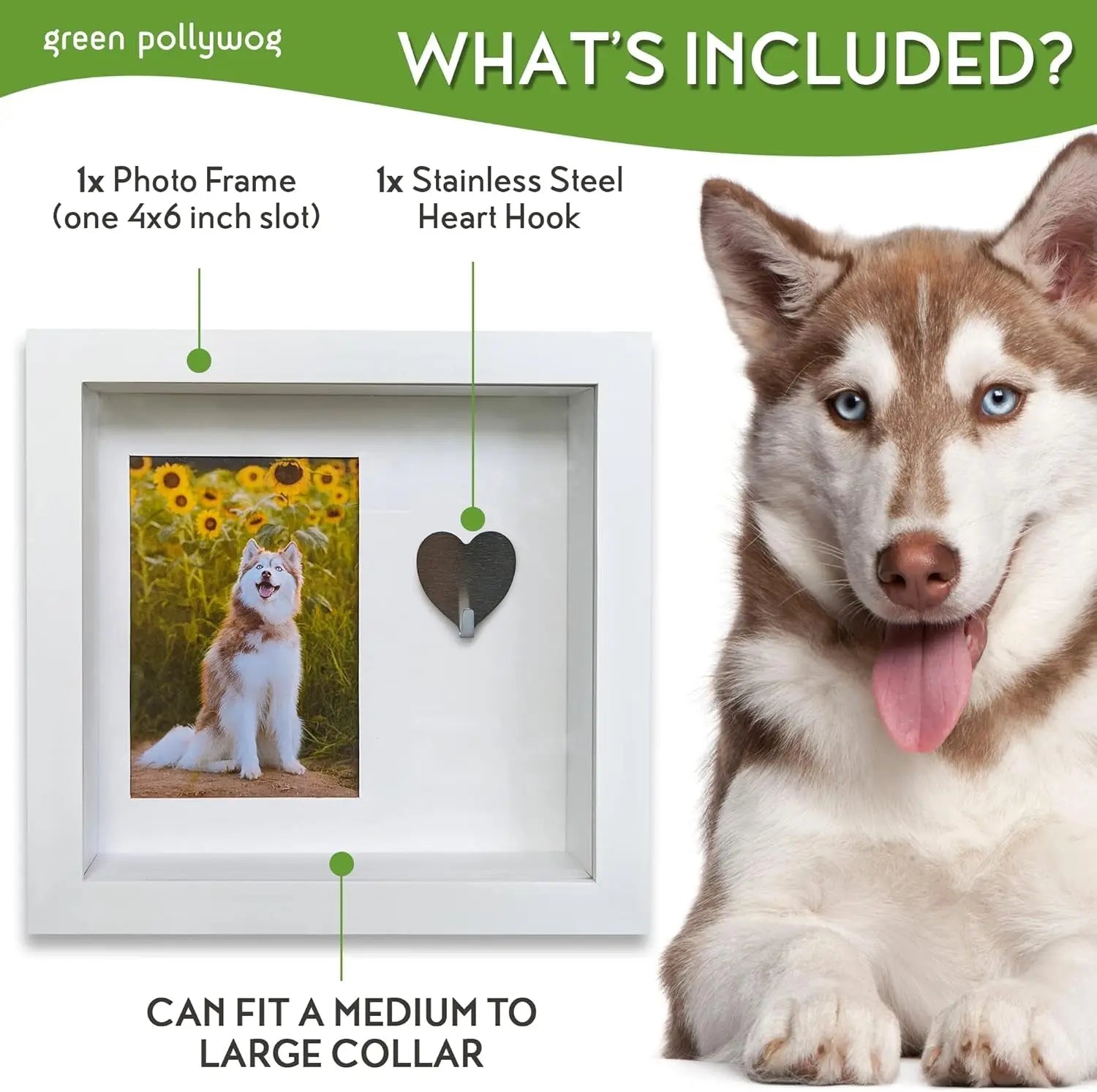 Green Pollywog Pet Memorial Shadowbox | Collar, Tag & Photo Keepsake