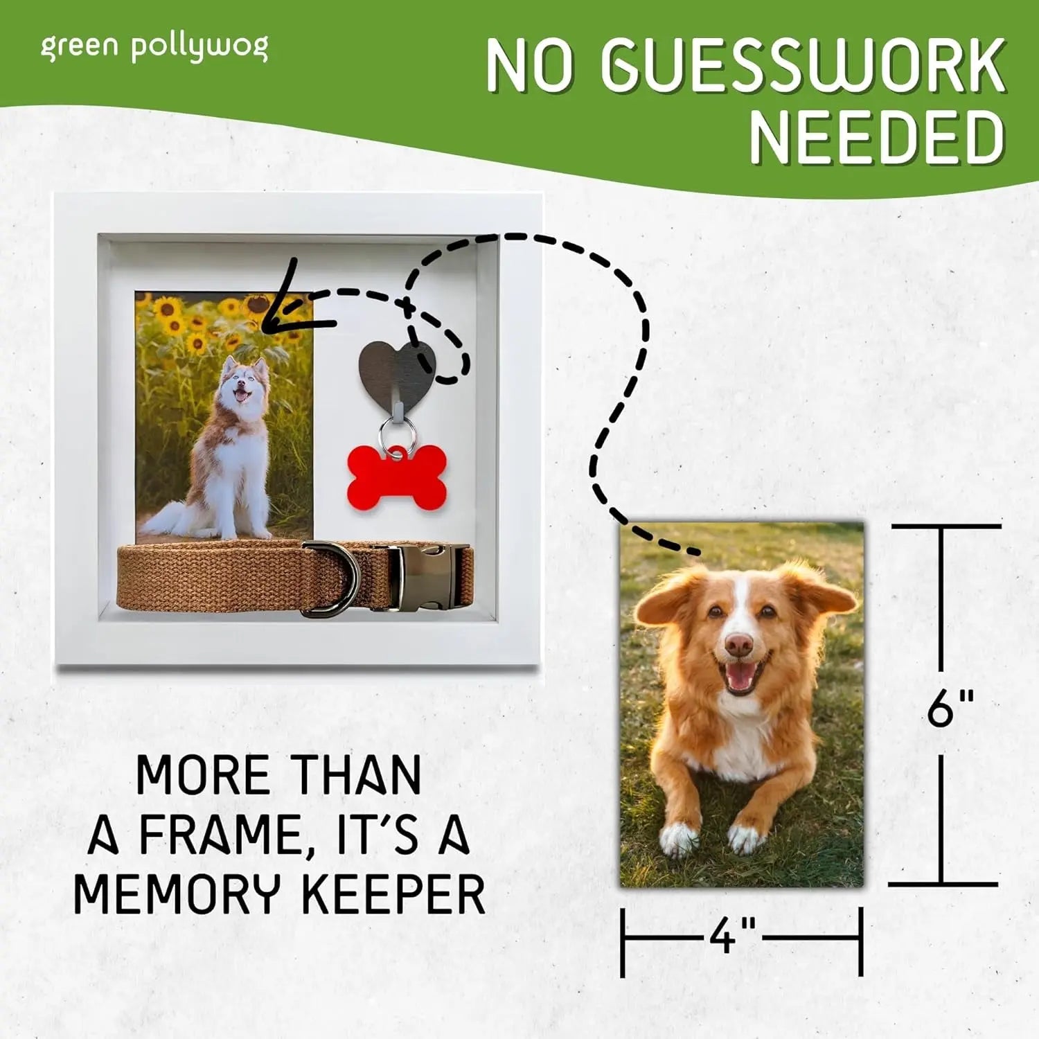 Green Pollywog Pet Memorial Shadowbox | Collar, Tag & Photo Keepsake