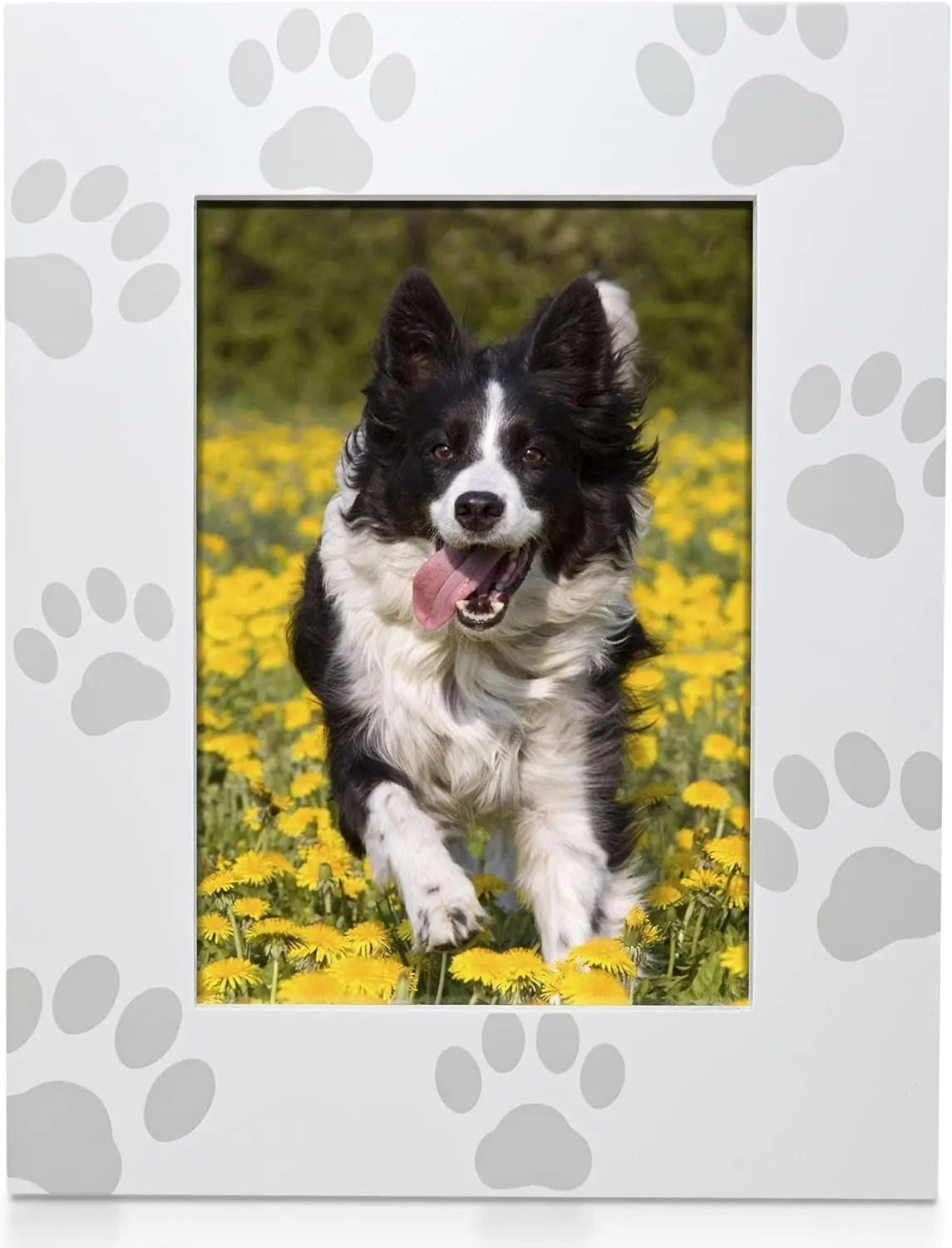 Green Pollywog Pet Memorial Shadowbox | Collar, Tag & Photo Keepsake