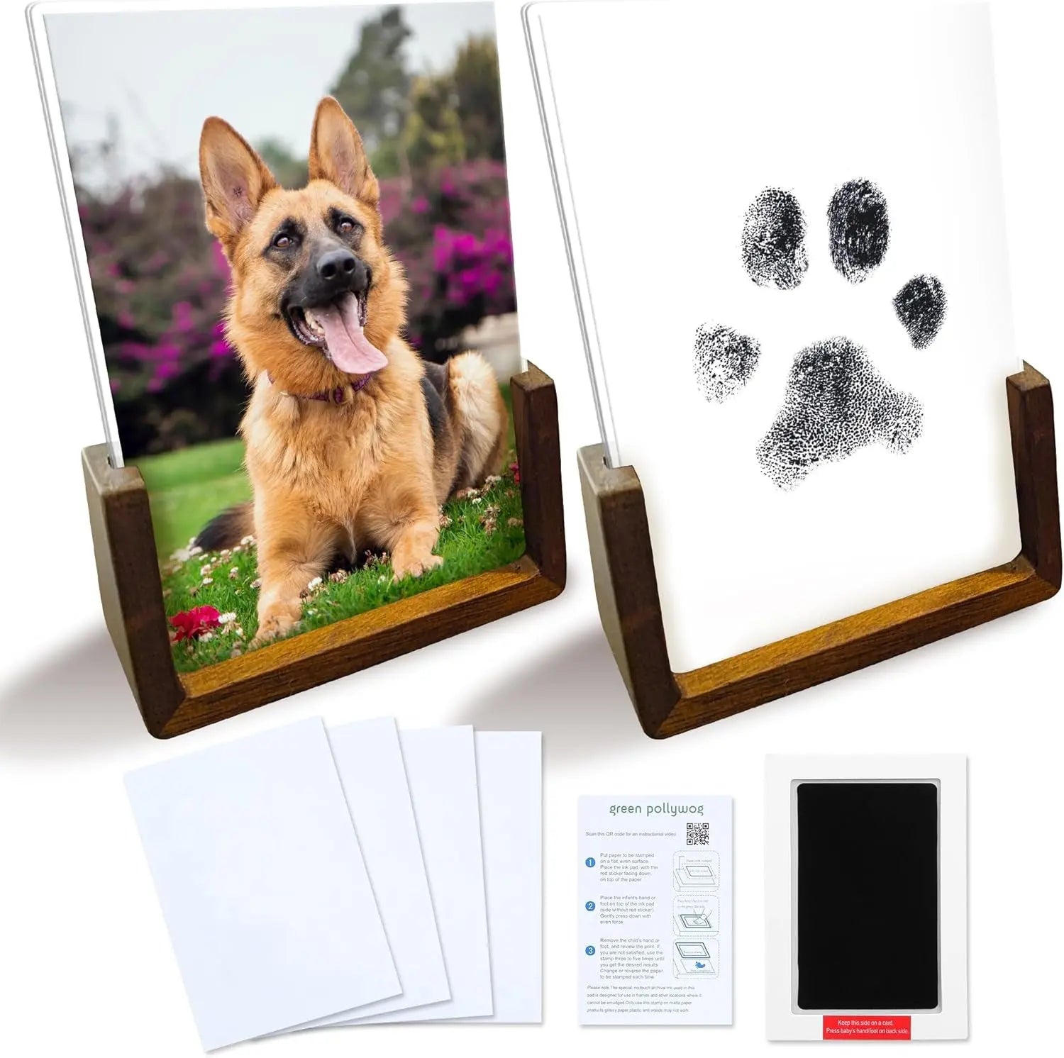 Green Pollywog Pet Memorial Shadowbox | Collar, Tag & Photo Keepsake