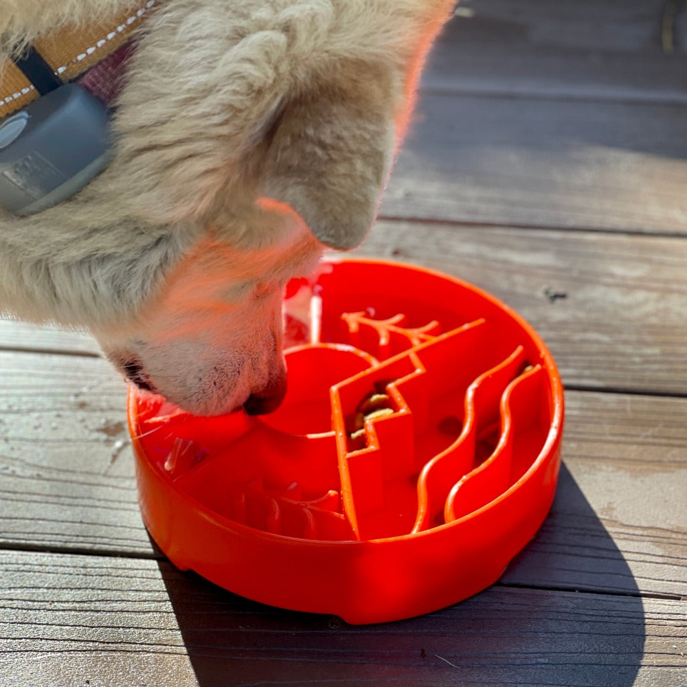 Great Outdoors eBowl - Slow Feeder Dog Bowl & Enrichment | USA Made